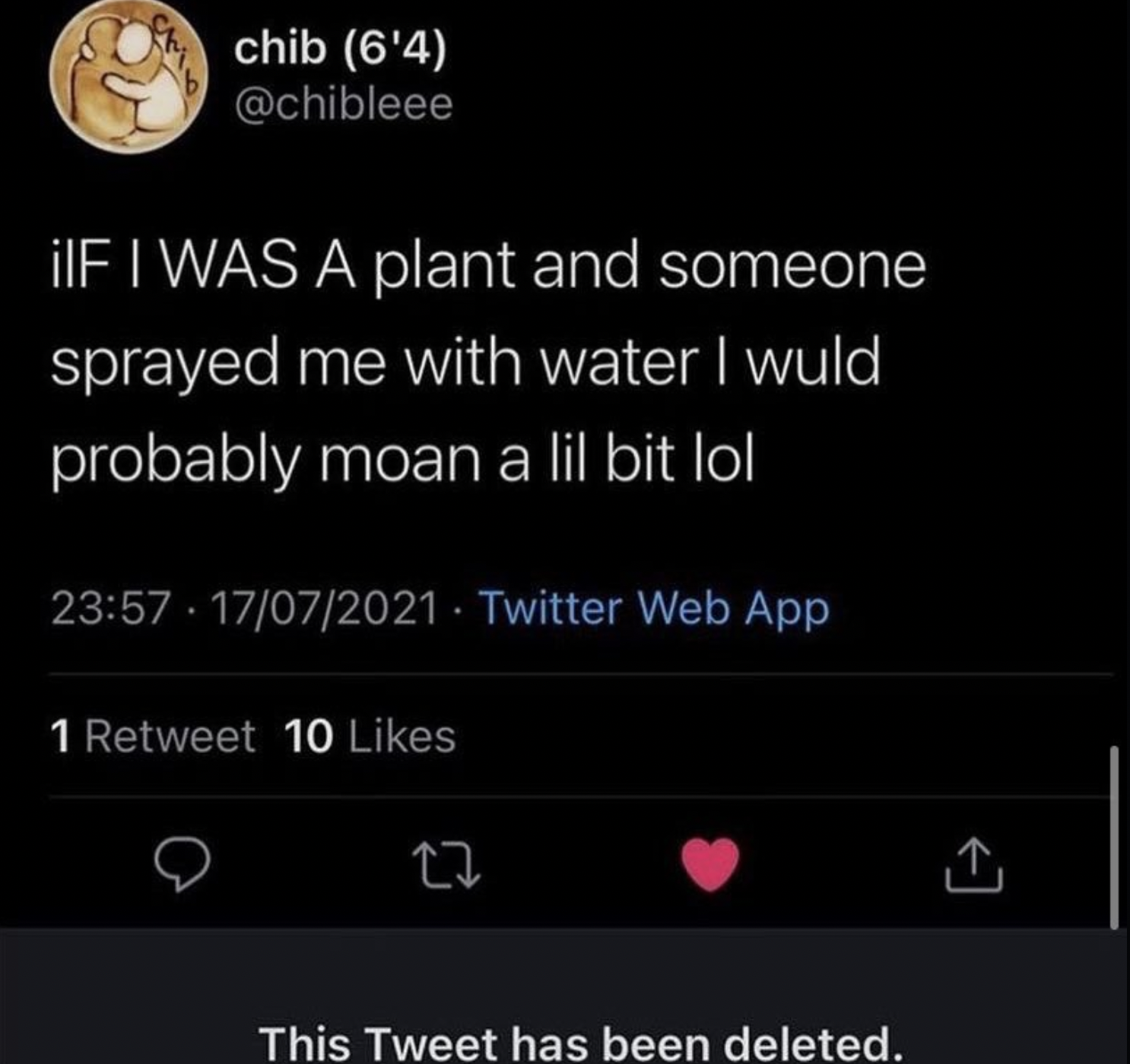 screenshot - chib 6'4 iIF I Was A plant and someone sprayed me with water I wuld probably moan a lil bit lol 17072021 Twitter Web App 1 Retweet 10 This Tweet has been deleted.